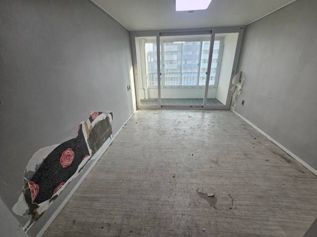 리트리버와 단 둘이 살았던 여자 임차인.jpg