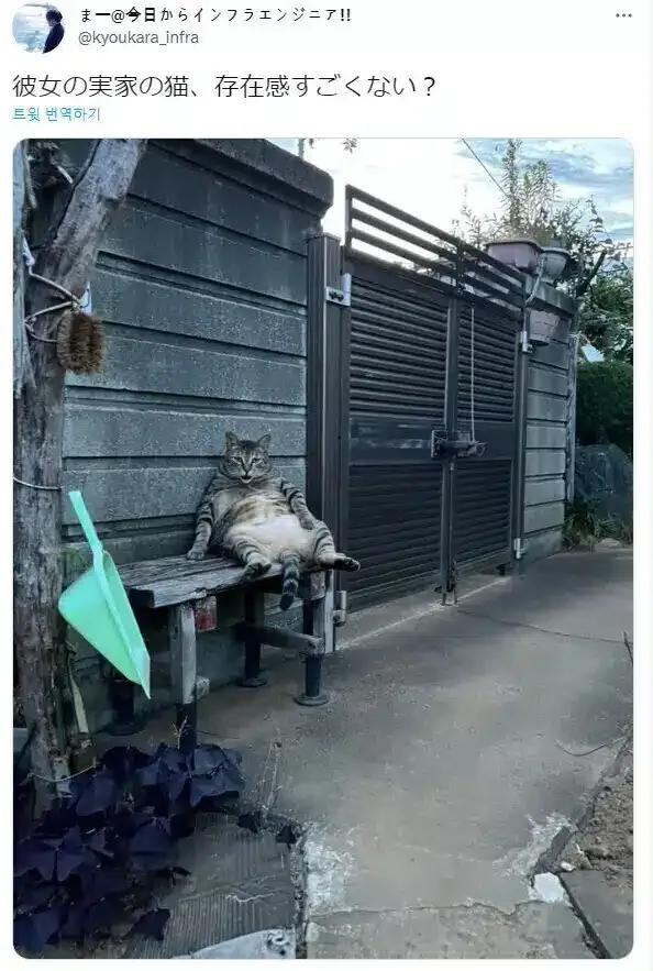 여친 집의 존재감이 대단한 고양이.jpg