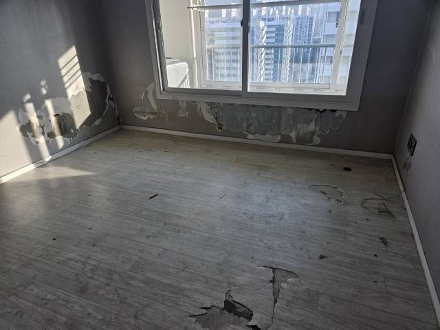 리트리버와 단 둘이 살았던 여자 임차인.jpg