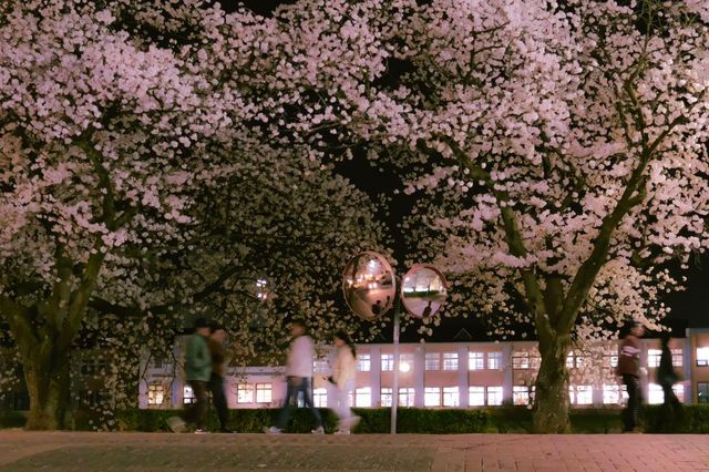 밤 산책하자는 말이 고백으로 들리는 시기