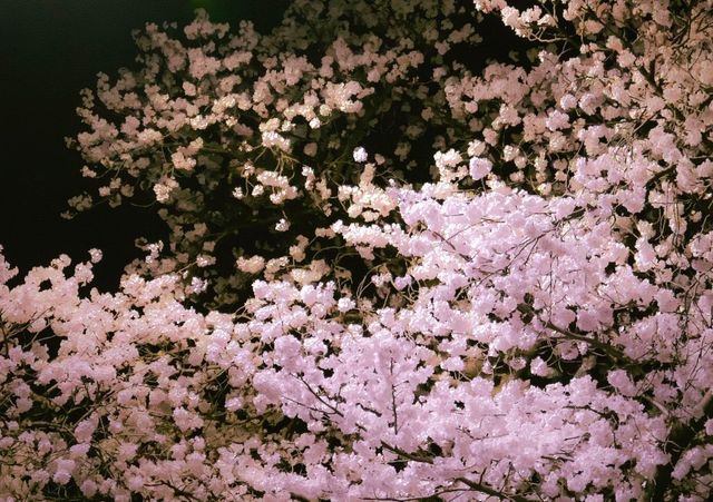 밤 산책하자는 말이 고백으로 들리는 시기