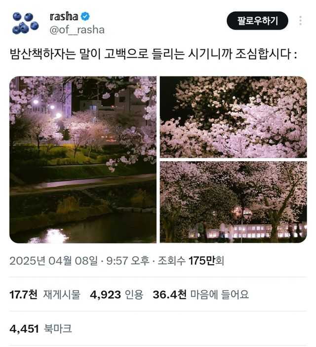 밤 산책하자는 말이 고백으로 들리는 시기