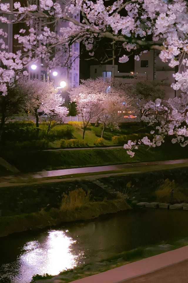 밤 산책하자는 말이 고백으로 들리는 시기