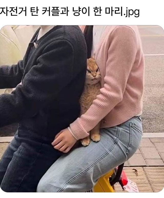 자전거 탄 커플과 냥이 한마리