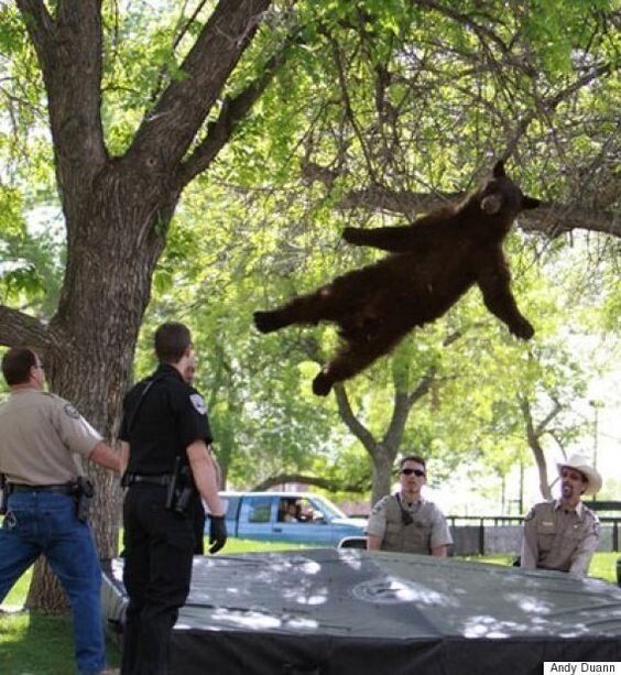 곰바람 휘날리며~~