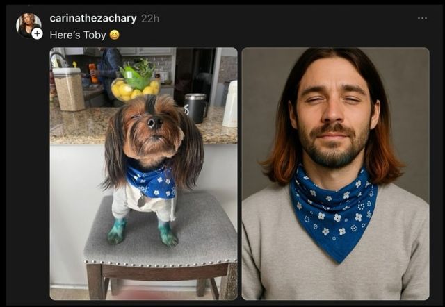 챗GPT가 사람으로 바꿔준 고양이와 강아지들