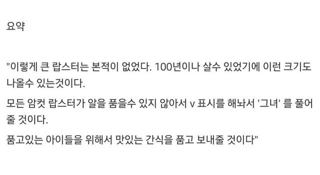 랍스터를 풀어준 이유.jpg