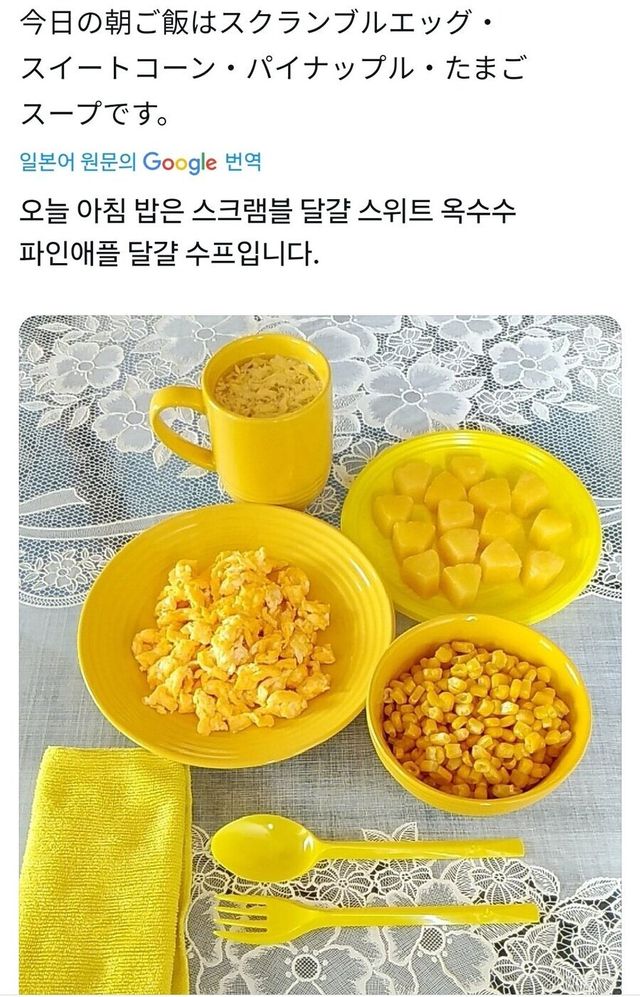 일관성있게 식사하는 꿀팁(+식단 정보)