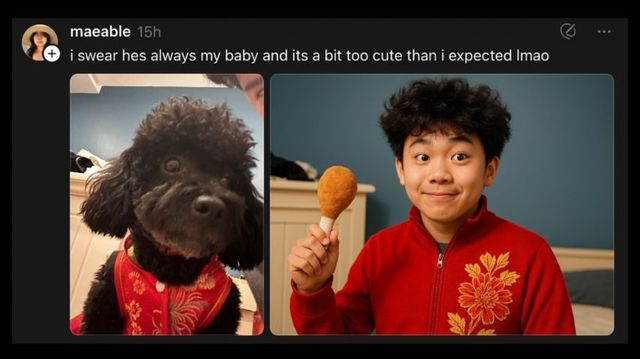 챗GPT가 사람으로 바꿔준 고양이와 강아지들