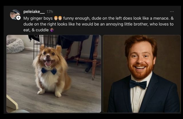 챗GPT가 사람으로 바꿔준 고양이와 강아지들