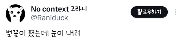 벚꽃이 폈는데 눈이 내려