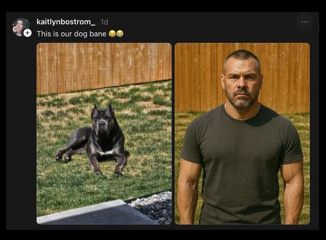 챗GPT가 사람으로 바꿔준 고양이와 강아지들