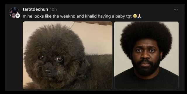 챗GPT가 사람으로 바꿔준 고양이와 강아지들