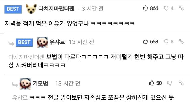 저녁을 너무 부실하게 먹은 돼지