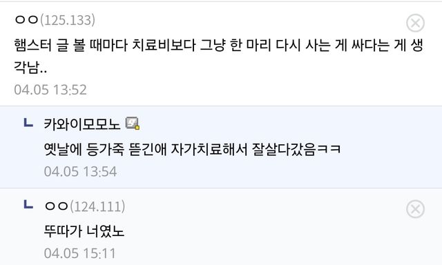 (스압) 10년넘게 햄스터 키우는(?) 디씨인....jpg