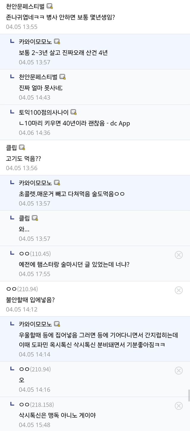(스압) 10년넘게 햄스터 키우는(?) 디씨인....jpg