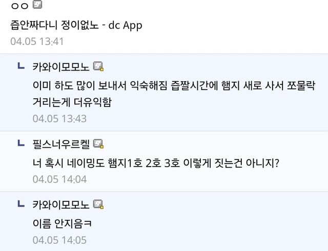 (스압) 10년넘게 햄스터 키우는(?) 디씨인....jpg