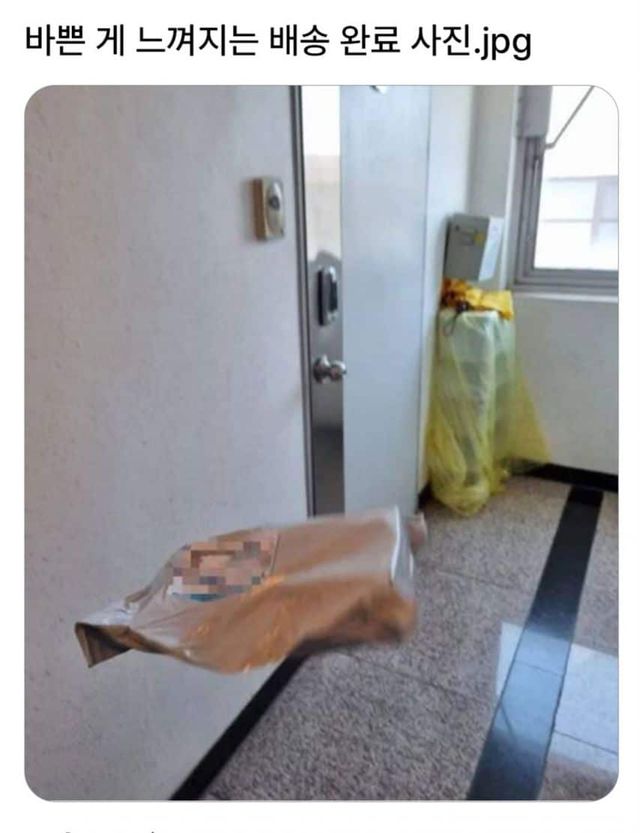 바쁜 게 느껴지는 배송 완료 사진