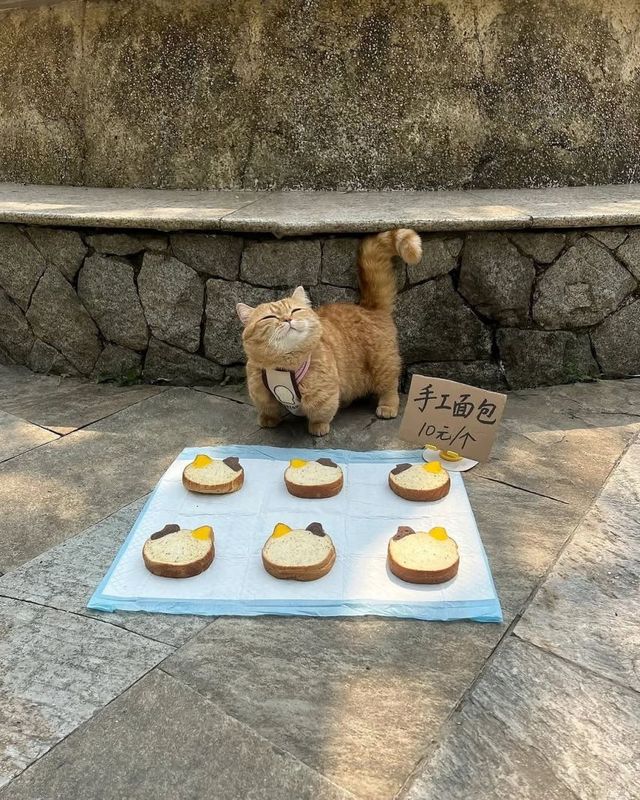 갓 구운 따끈따끈한 빵 파는 냥이 사장님