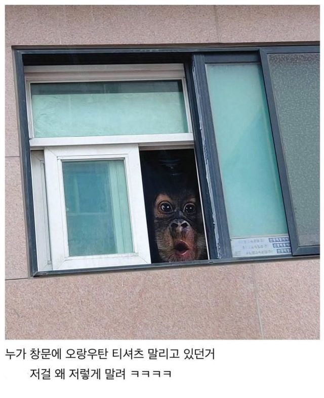 길 지나가다가 놀라 자빠질뻔했다