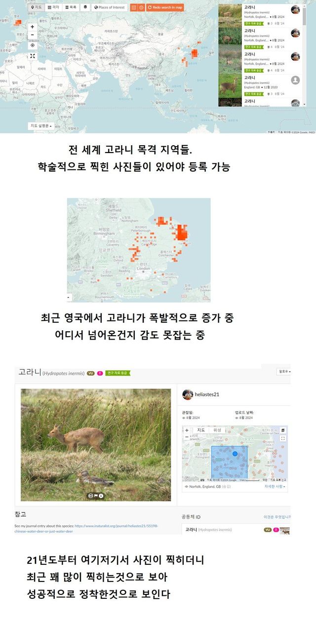 영국에서도 보이기 시작하는 익숙한 풍경