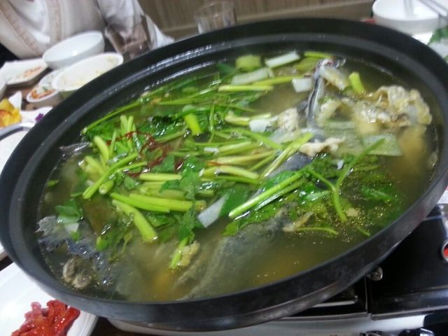 회로 먹을 수 있는 의외의 생선