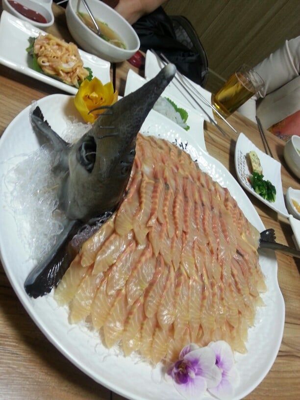 회로 먹을 수 있는 의외의 생선