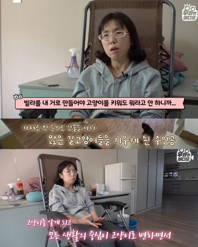 고양이가 좋아서 빌라 통째로 산 사람ㄷㄷ