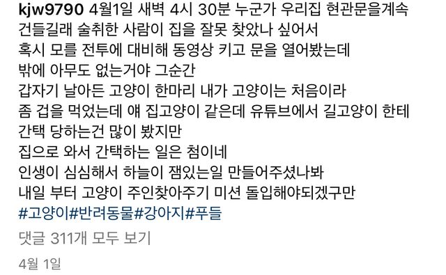 새벽에 고양이가 집에 침입함