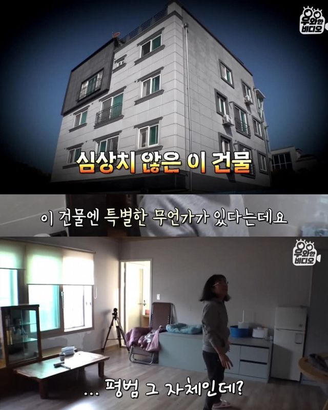 고양이가 좋아서 빌라 통째로 산 사람ㄷㄷ