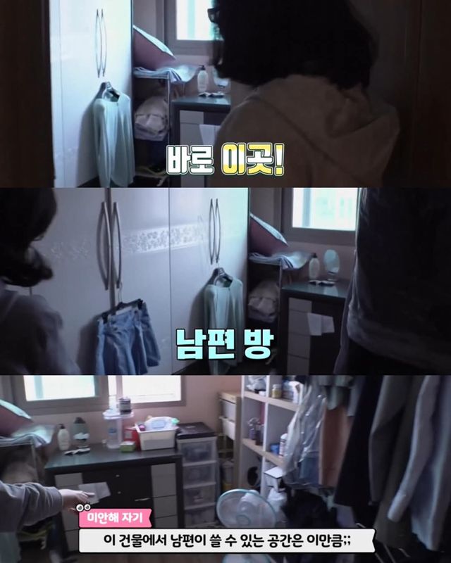 고양이가 좋아서 빌라 통째로 산 사람ㄷㄷ