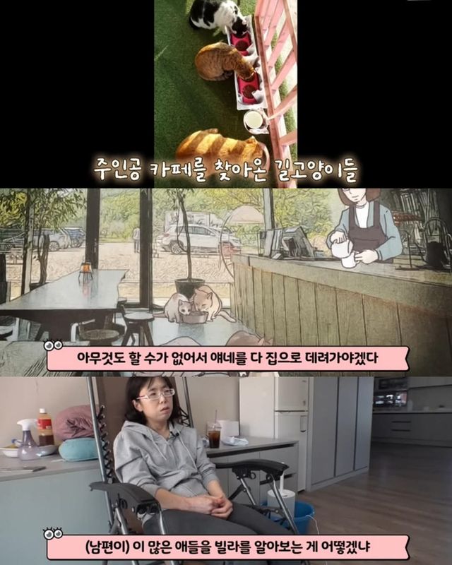고양이가 좋아서 빌라 통째로 산 사람ㄷㄷ