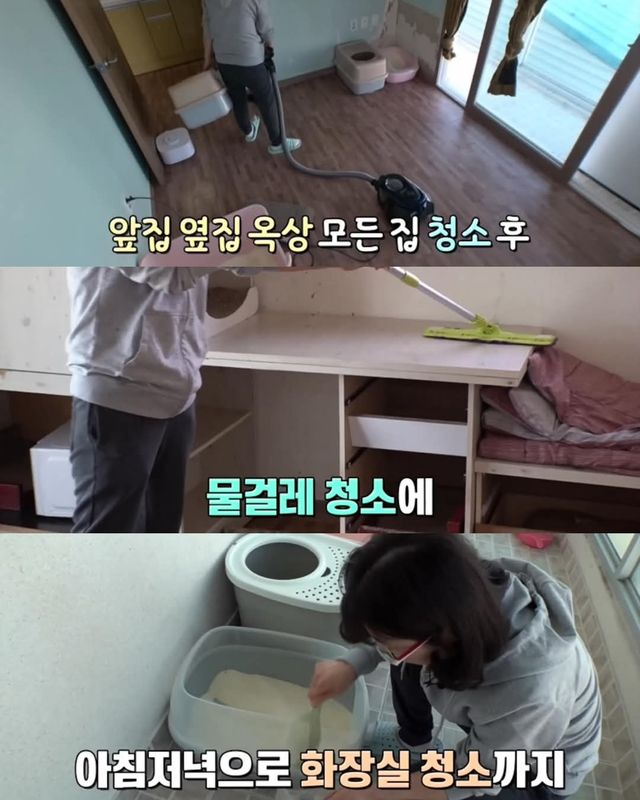 고양이가 좋아서 빌라 통째로 산 사람ㄷㄷ