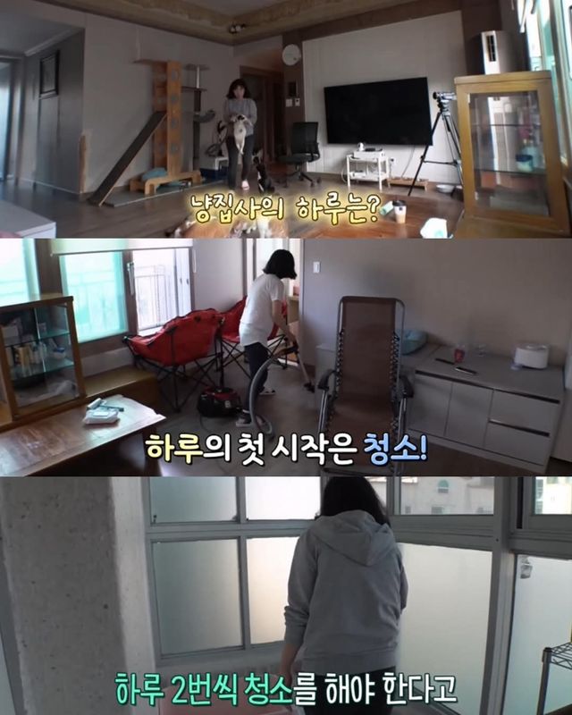 고양이가 좋아서 빌라 통째로 산 사람ㄷㄷ