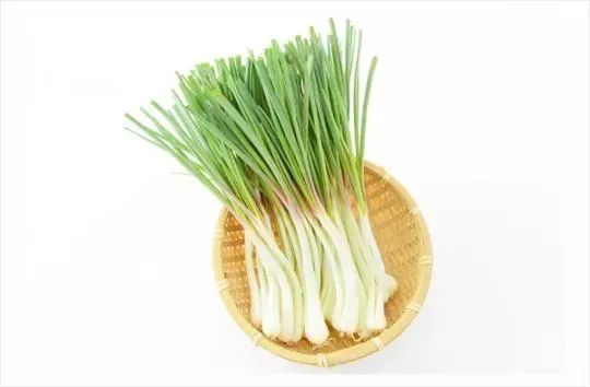 의외의외 전세계에서 한중일만 먹는 채소