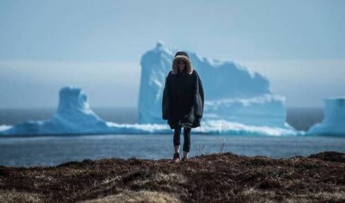 캐나다 해안에 떠내려온 빙산
