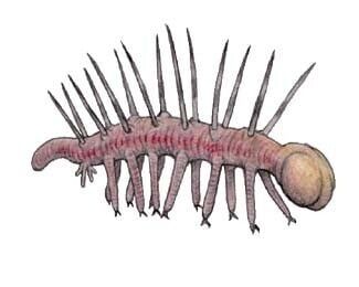 고생물학계를 혼란에 빠트린 고대생물