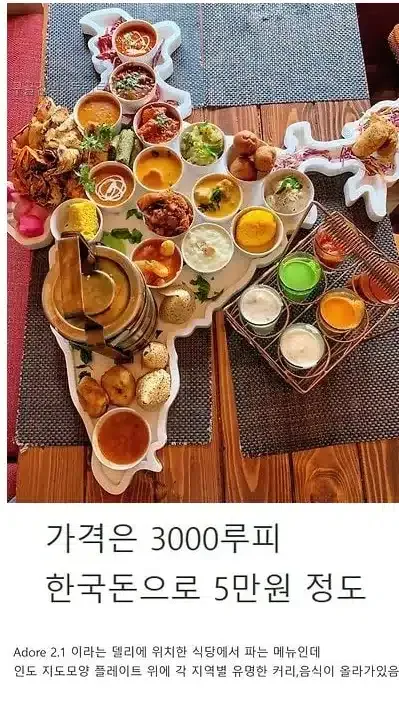 인도에서 먹을수 있다는 인도 전국백반
