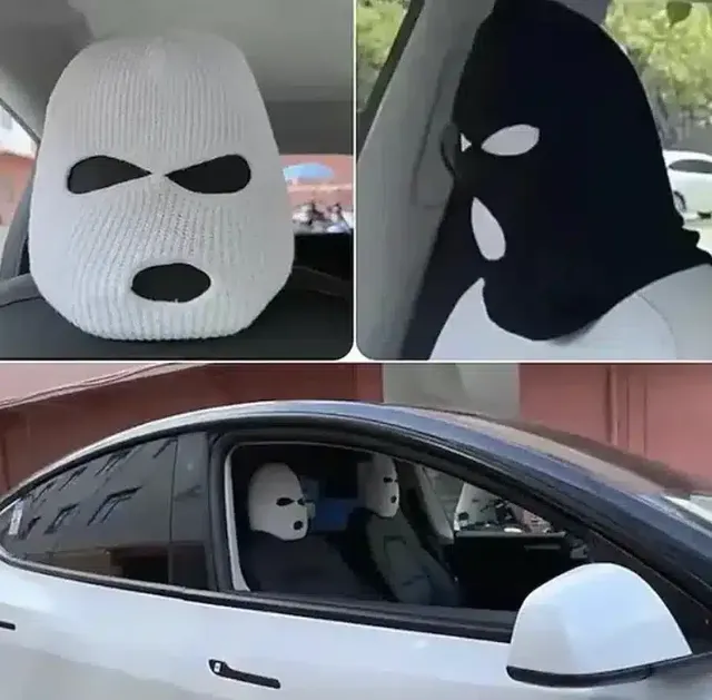 자동차 의자에 발라클라바를 씌움