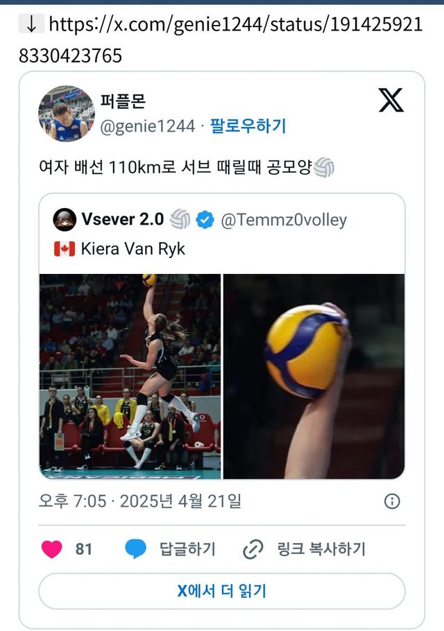 여자 배구선수 110km로 서브 때릴 때 공 모양 [정보글]