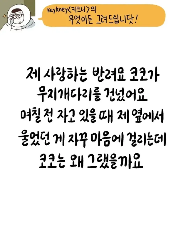 키크니 툰 무엇이든 모음집.jpg