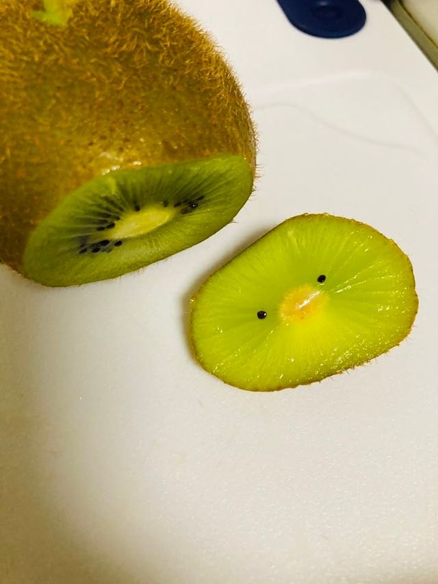 키위 잘랐더니 키위나옴