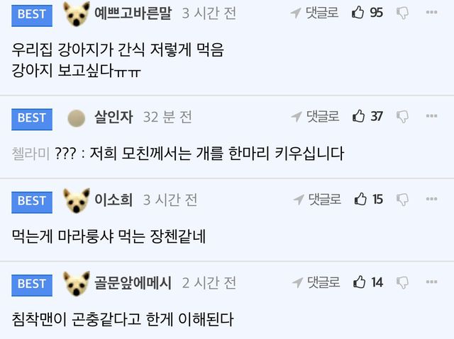 인삼튀김에 막걸리 먹는 기안84