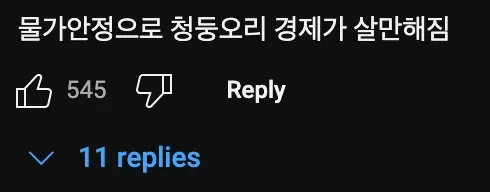 청둥오리🦆가 한국에 눌러살게 된 이유