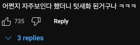 청둥오리🦆가 한국에 눌러살게 된 이유