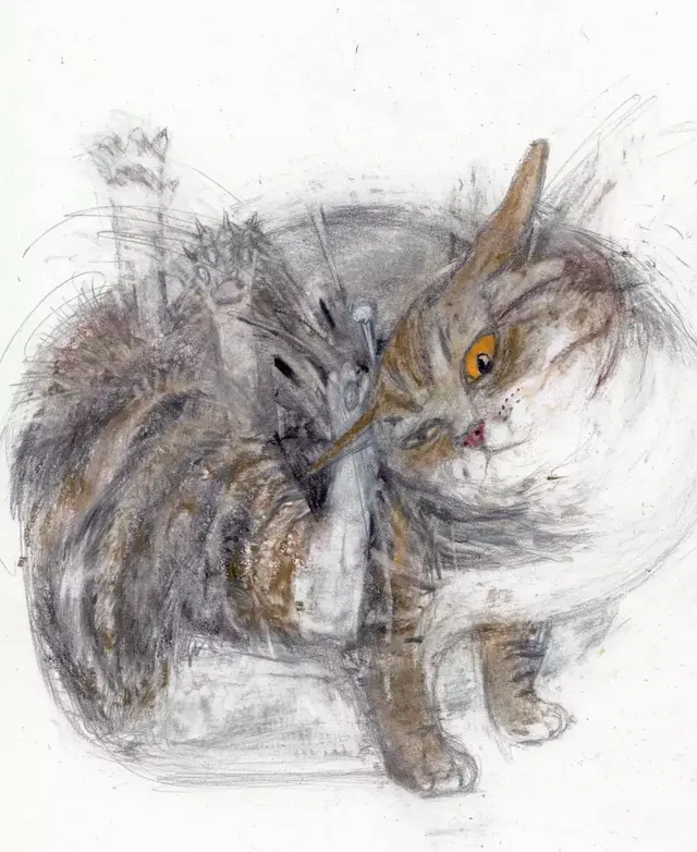 극사실체 고양이 그림들.jpg