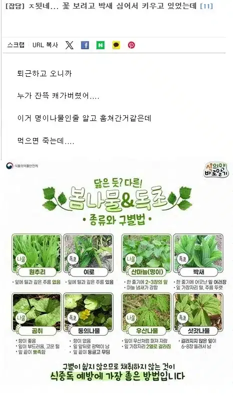 농산물 도둑을 걱정하는 농민