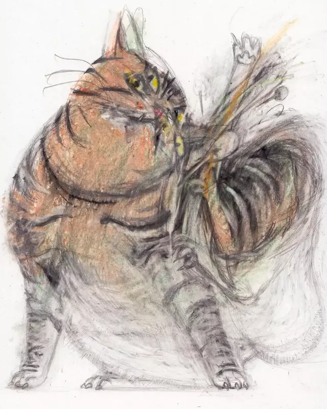 극사실체 고양이 그림들.jpg