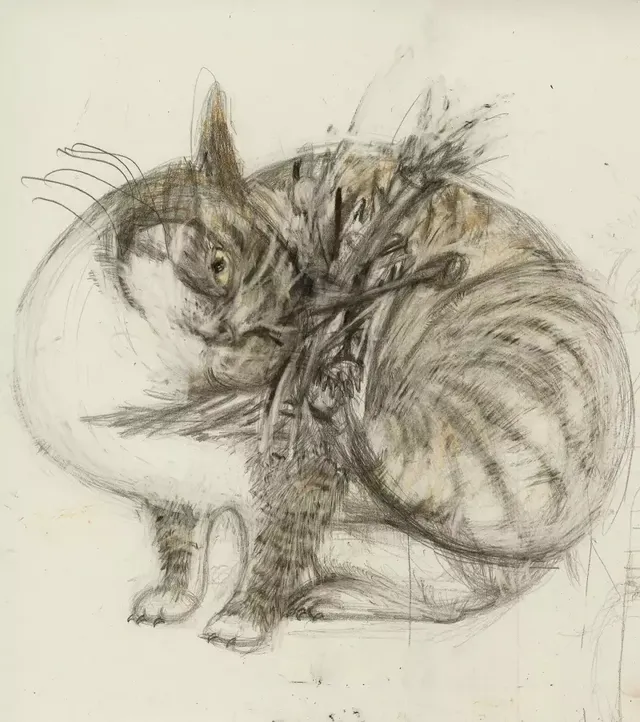 극사실체 고양이 그림들.jpg