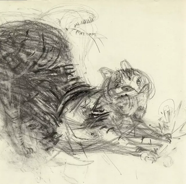 극사실체 고양이 그림들.jpg